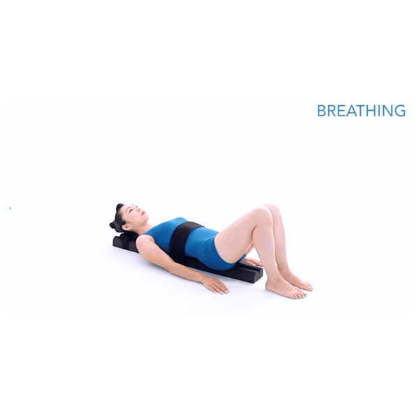 Parasetter Pilates Video/Manual - PhysicalMind Institute