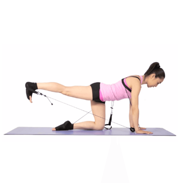 Fundamentals Exam - PhysicalMind Institute