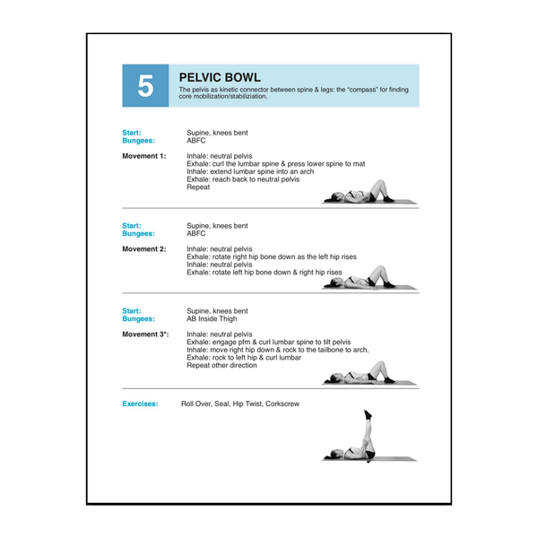 Fundamentals Video/Manual - PhysicalMind Institute