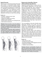 Pilates Protocols