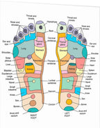 Foot reflexology and pressure point diagram