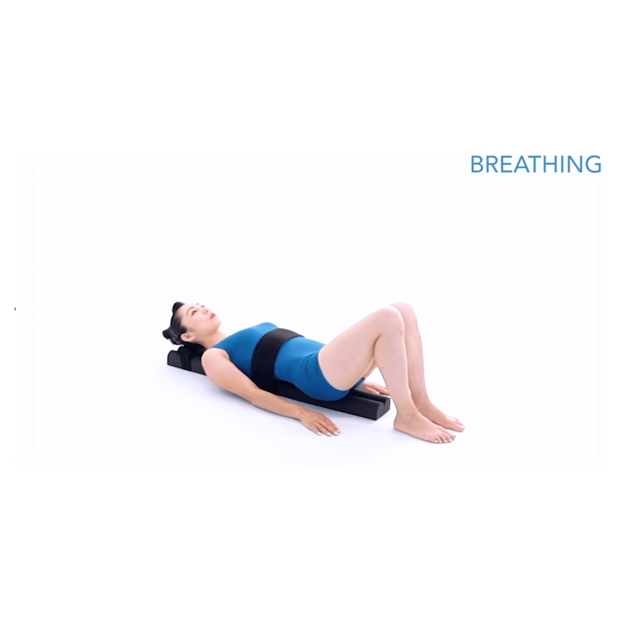 Parasetter Pilates Video/Manual - PhysicalMind Institute