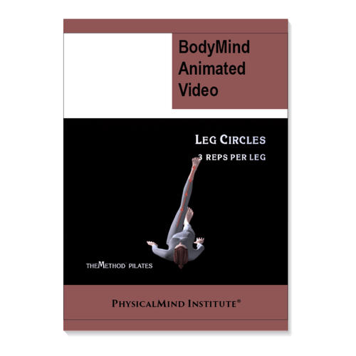 BodyMind Animated Video - PhysicalMind Institute