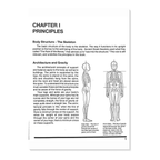 Bruce King's Rule of The Bones - PhysicalMind Institute