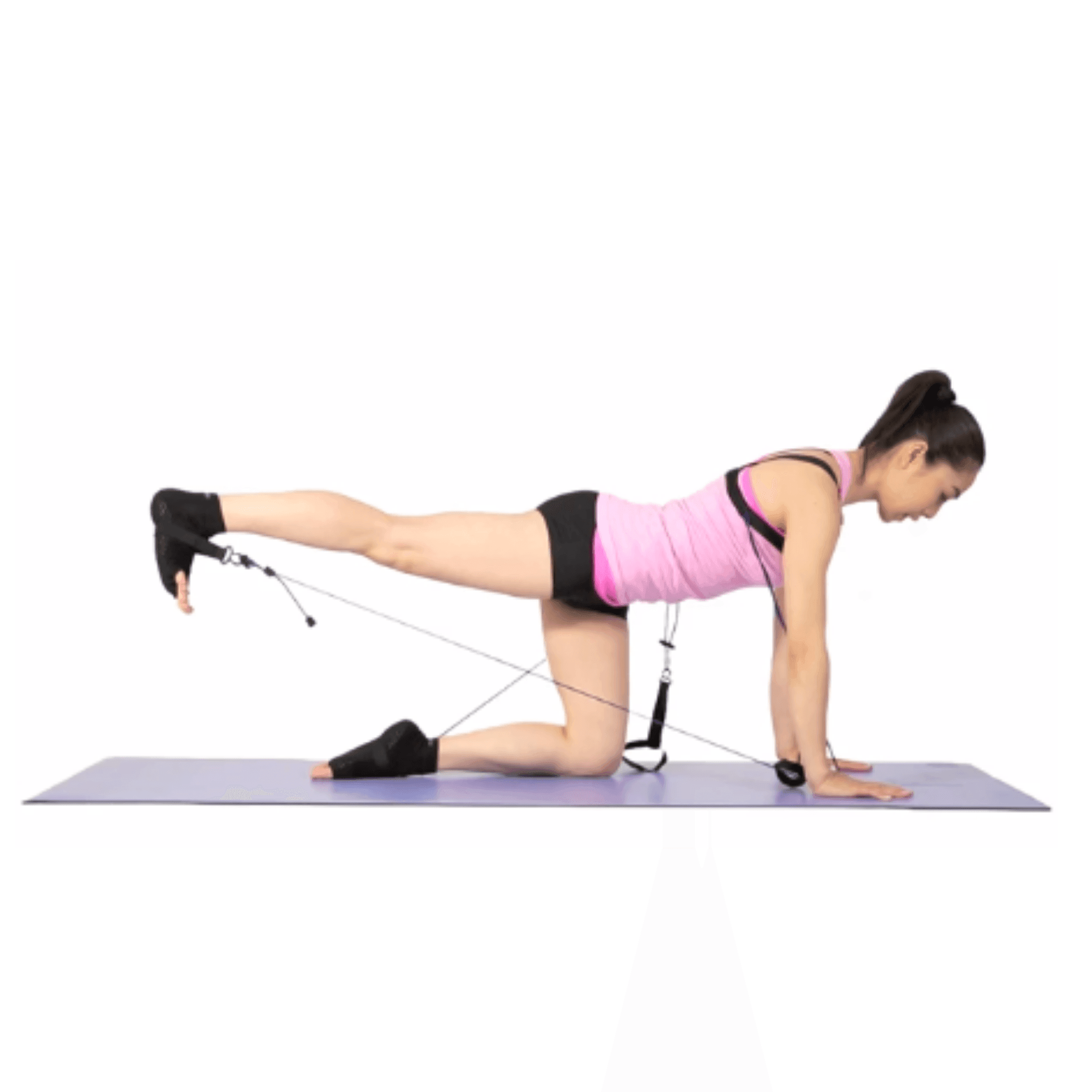 Fundamentals Exam - PhysicalMind Institute