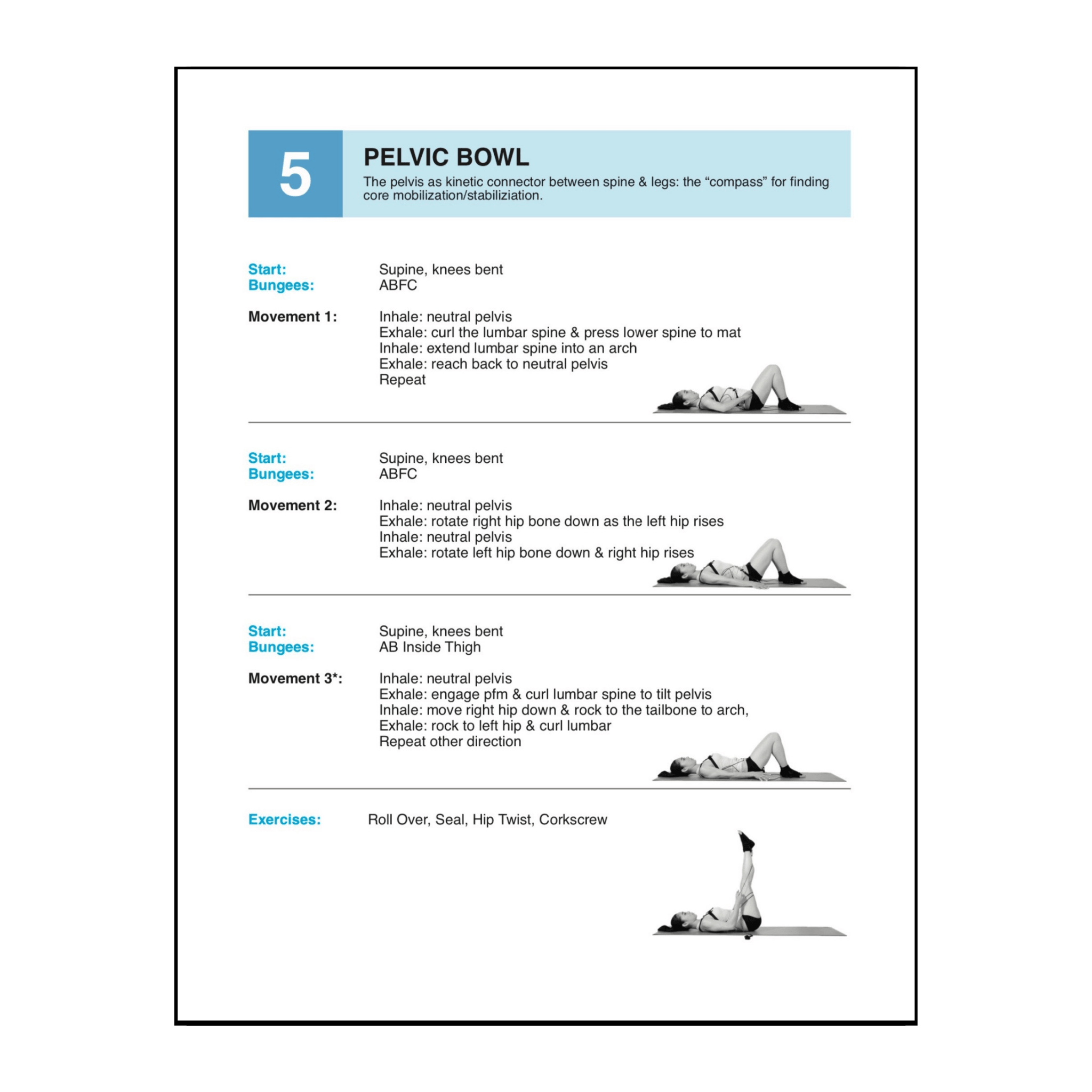 Fundamentals Video/Manual - PhysicalMind Institute
