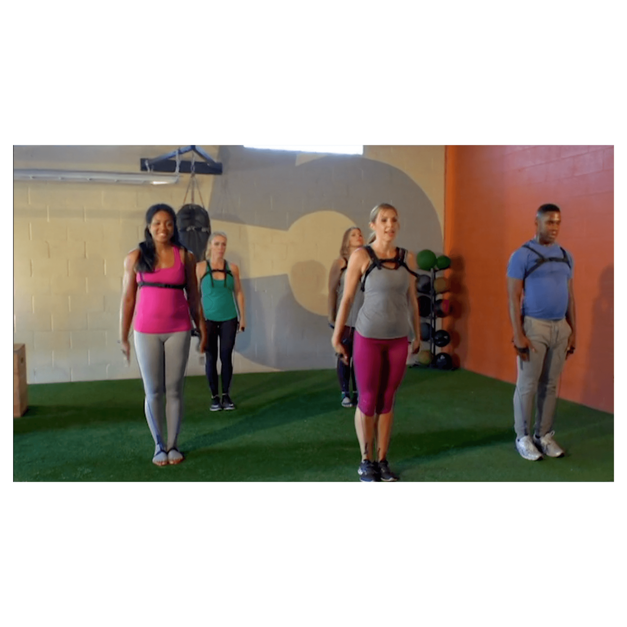 Fusion Pilates Videos/Manual - PhysicalMind Institute